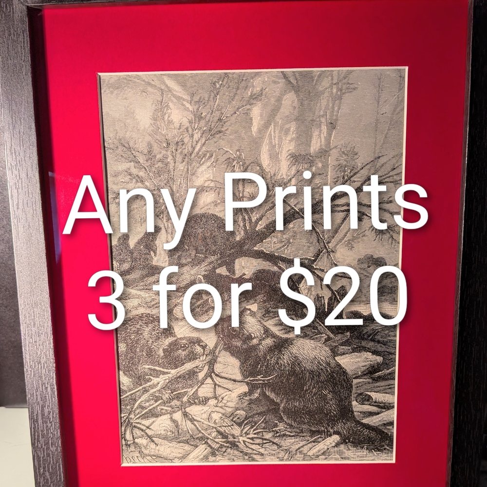 3 For $20.   Check out All The Prints! Large Selection
